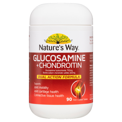 Glucosamine and + Chondroitin 90s