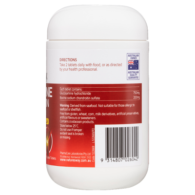 Glucosamine and + Chondroitin 90s