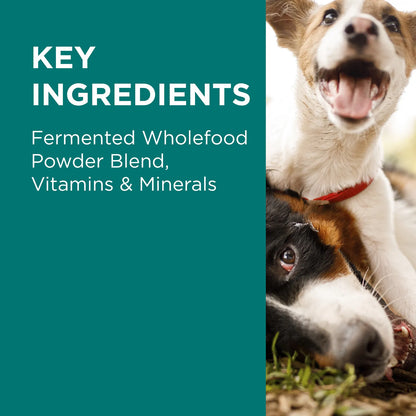 PAW DigestiCare Powder