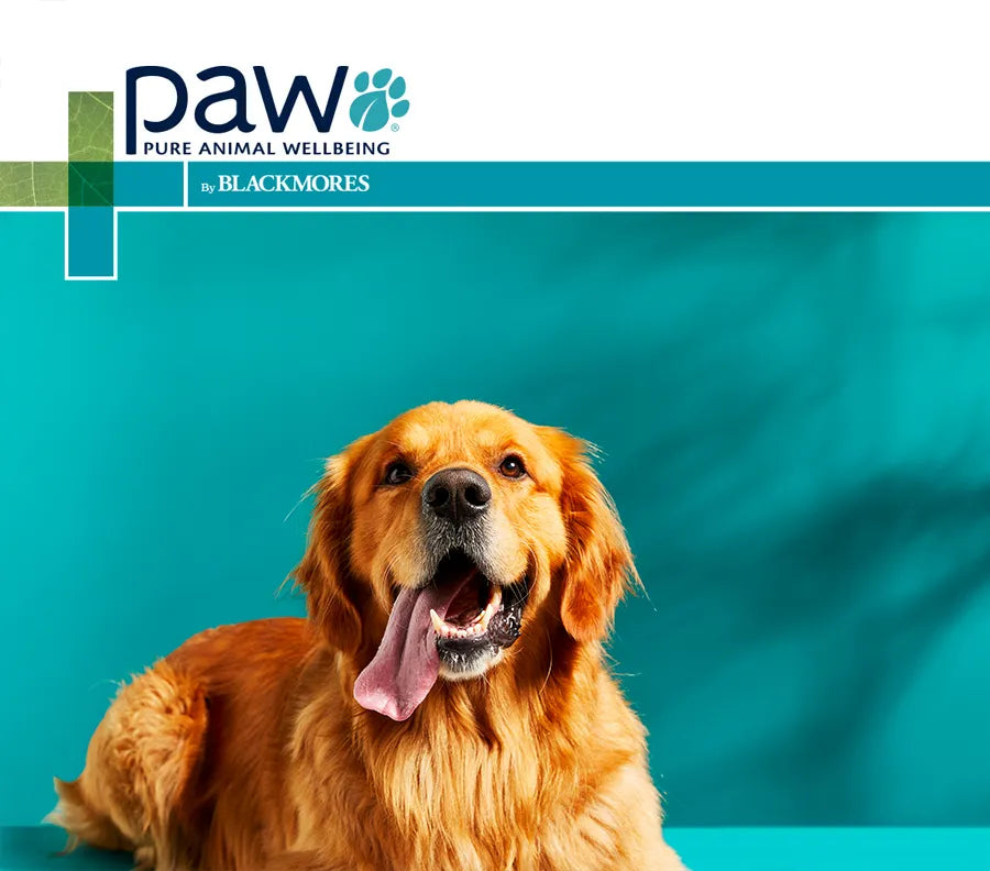 PAW DigestiCare Powder