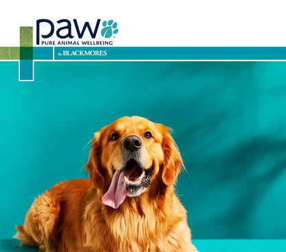 PAW DigestiCare Powder